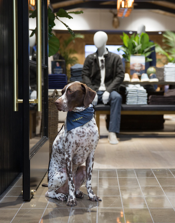 NorthPark Center, Dallas, Texas